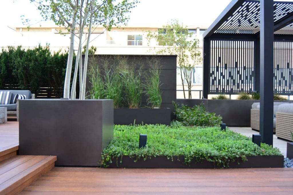 Topiarius Green Roof