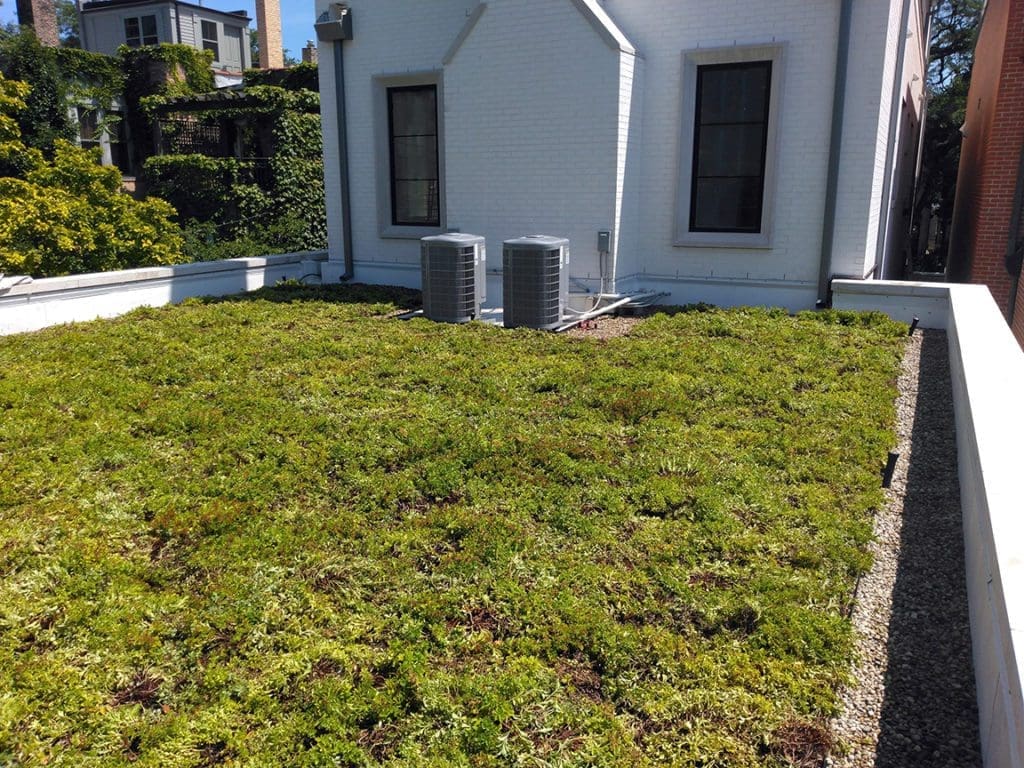 Topiarius Green Roof