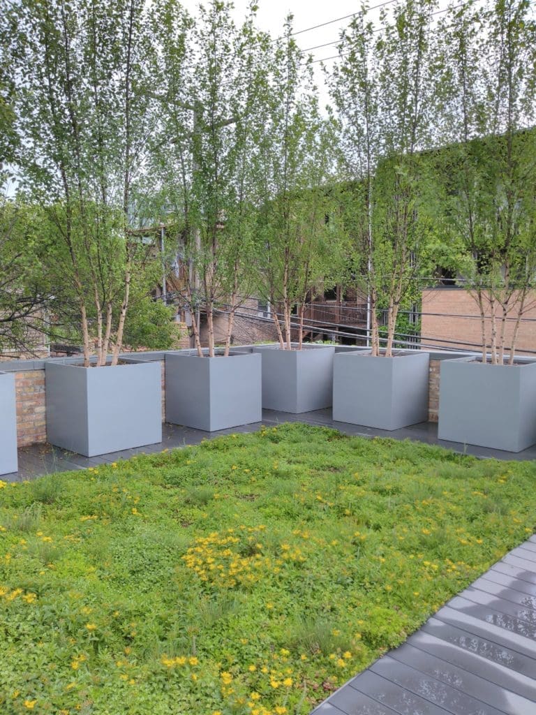 Topiarius Green Roof