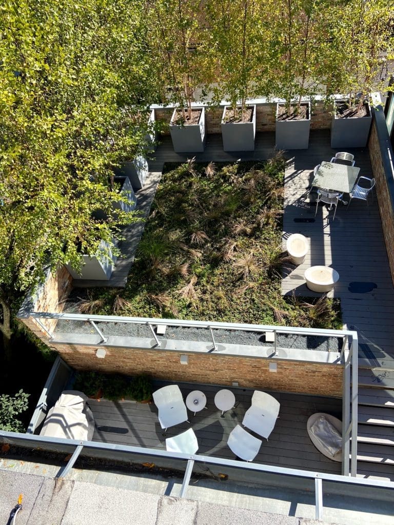 Topiarius Green Roof