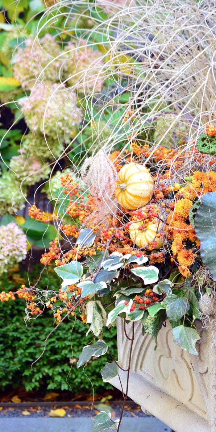 Autumn themed floral display with small pumpkins.