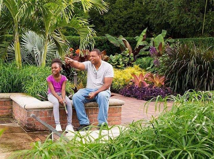 Local garden with a man and child sitting on a brick wall with greenery.