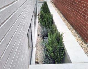 Sunken garden planting area.