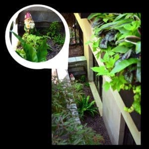 Close up of a hidden garden gnome.
