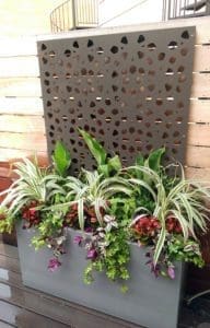 Outdoor box planted against a privacy screen.