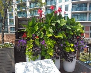 Large colorful planters on a roof deck.