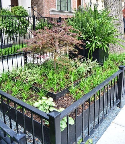 Metal railings around greenery.