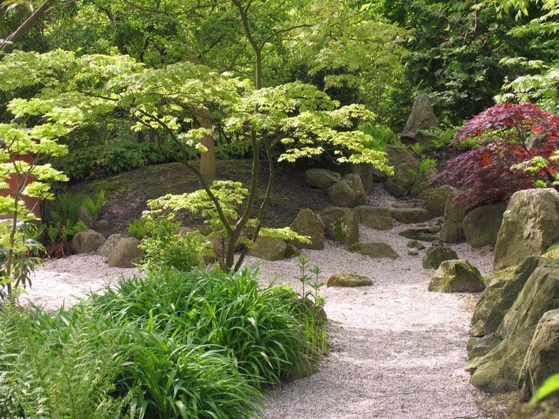 Outdoor garden area with trees, shrubs, and rock walkway.
