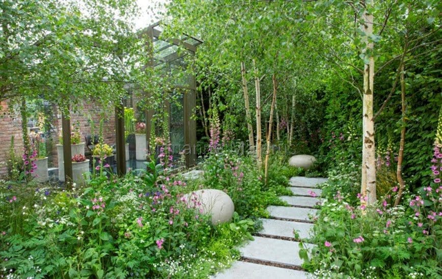 Paver pathway surrounded by birch trees, rocks and greenery.