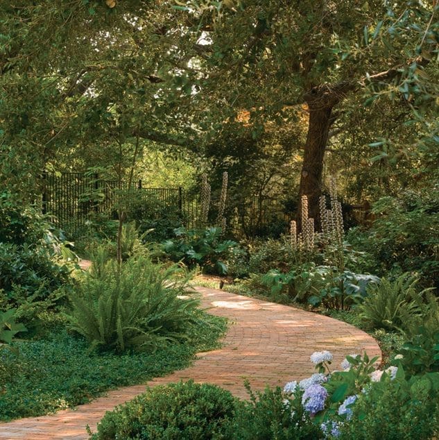 Brick paver walkway through lush greenery.