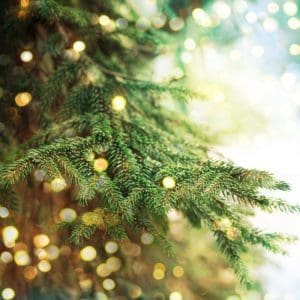 Close up of a Christmas tree with blurred white lights.